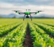 Precision Farming: Firewall-Sicherheit für vernetzte Landwirtschaftssysteme (Foto: AdobeStock - 913576282 Pachara)